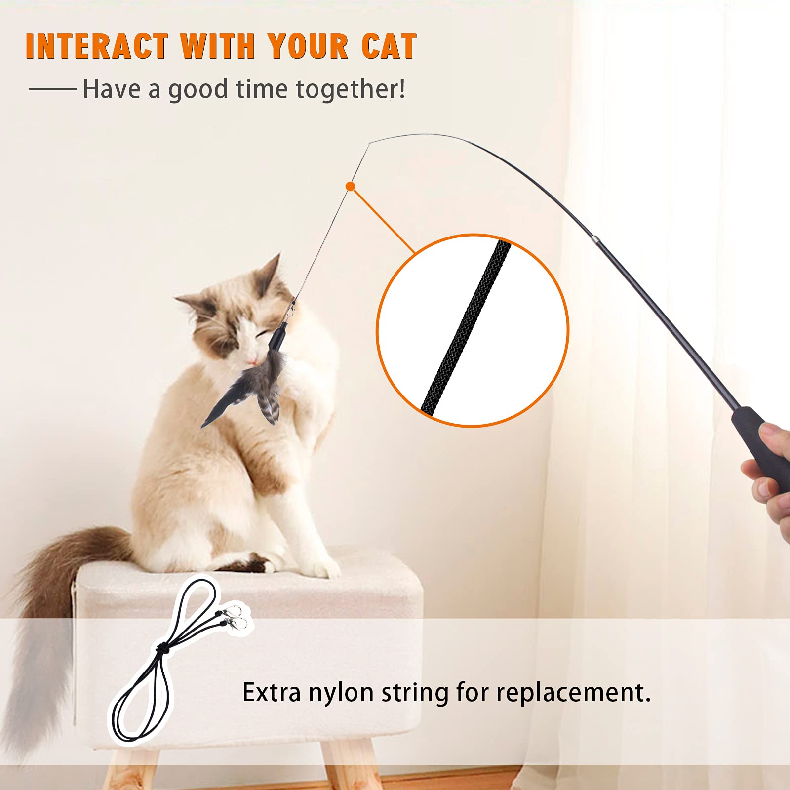 Apsuae Retractable Cat Wand Toy For Indoor Cats Interactive Cat Feather Toys With Bell 8 Packs Kitten Toys With Fishing Pole Rep
