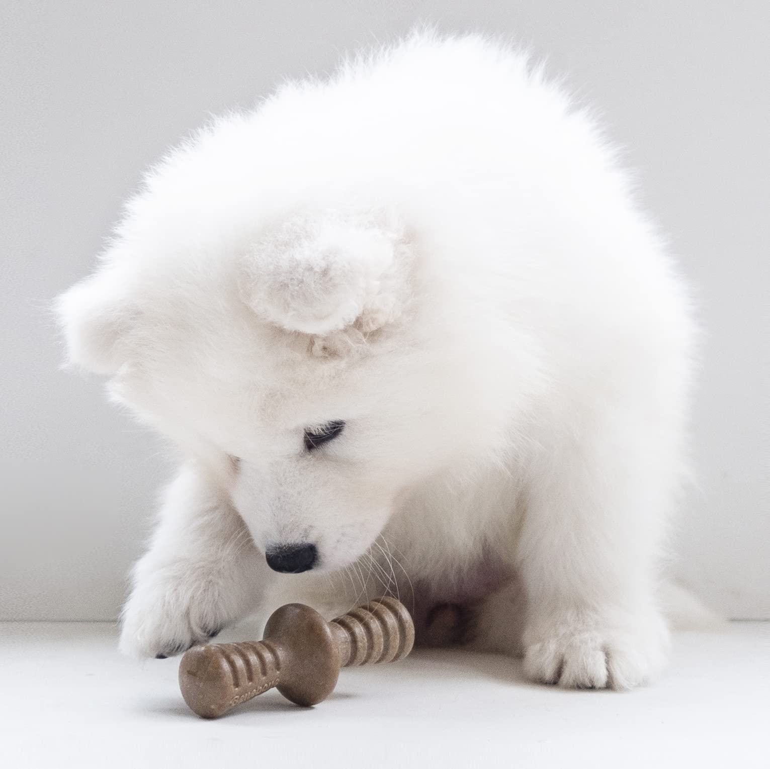 Benebone Puppy 2-Pack Maplestick/Zaggler Durable Dog Chew Toys For Gentle Chewers, Real Bacon, Real Maplewood, Made In Usa, Tiny