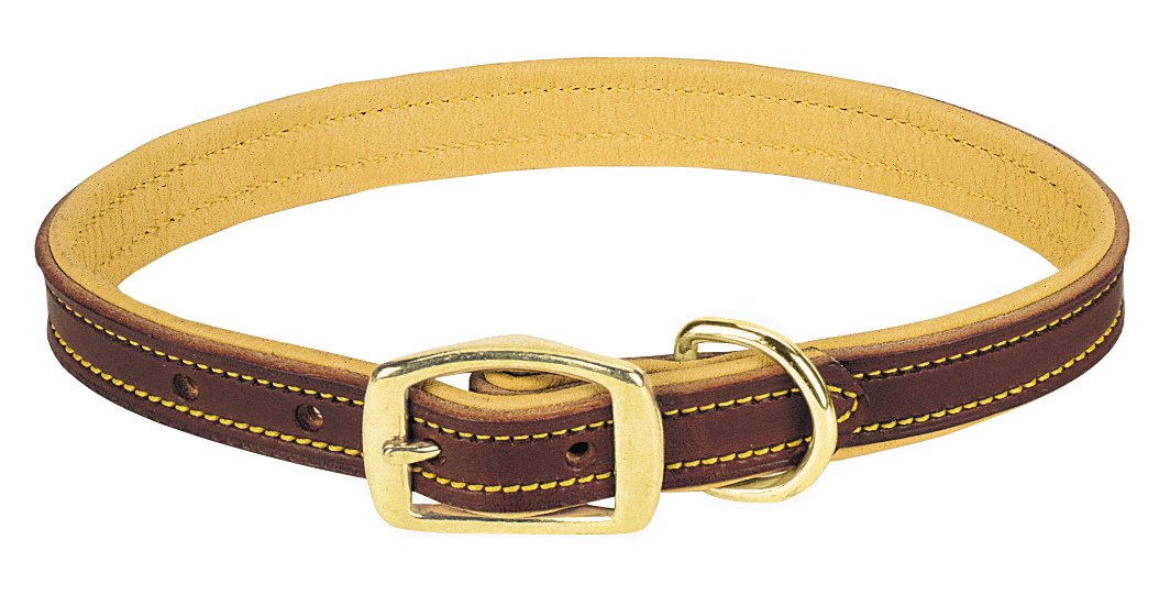 Weaver Pet Deer Ridge Collar, 3/4' X 19'
