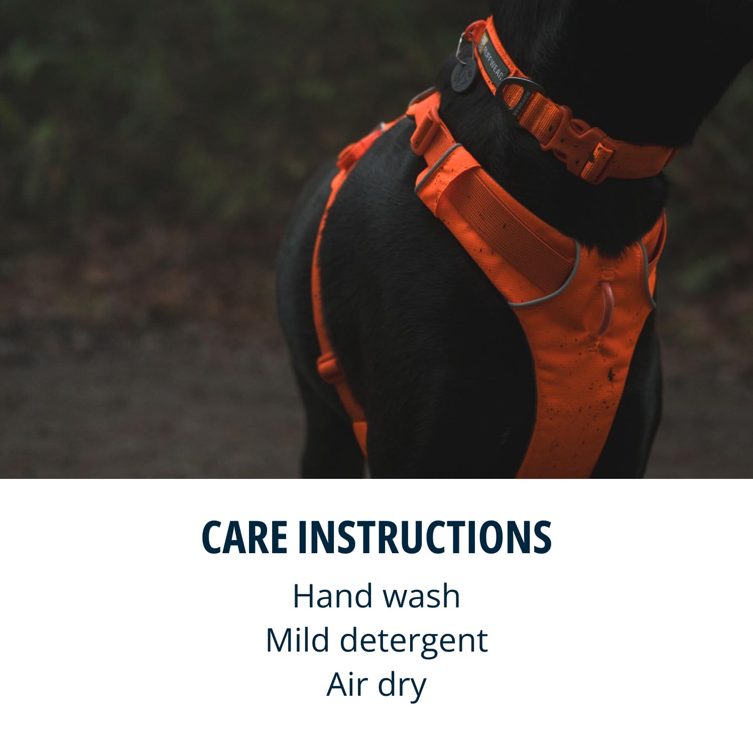 Ruffwear, Front Range Dog Collar, Durable And Comfortable Collar For Everyday Use, Blaze Orange, 11''-14''