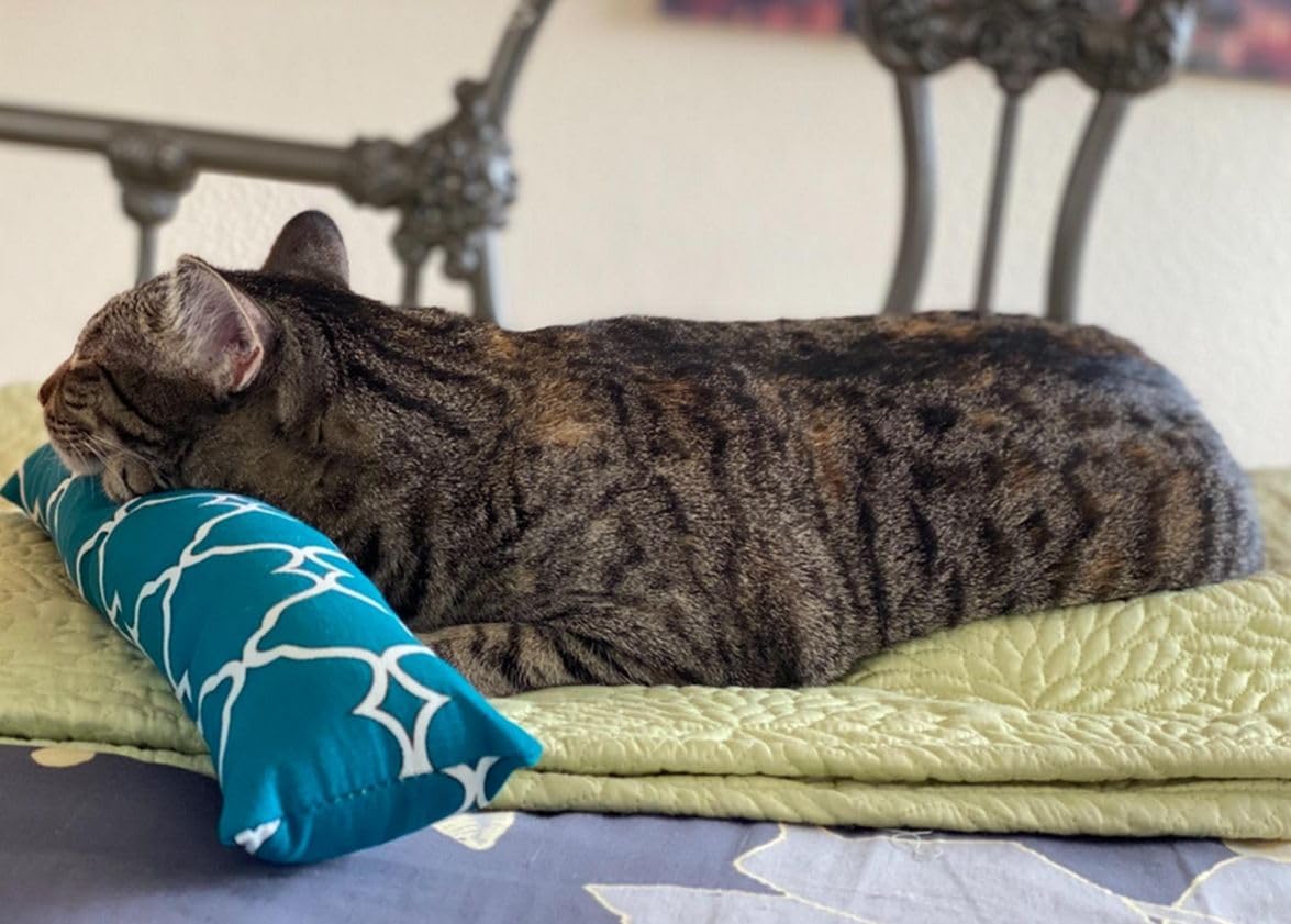 West Coast Pet Products 15'' Catnip Cat Kicker Toys/Kitty Kick Sticks/Cat-Nip Kick Sticks (Green) (Kickers Filled With 1 Oz Prem