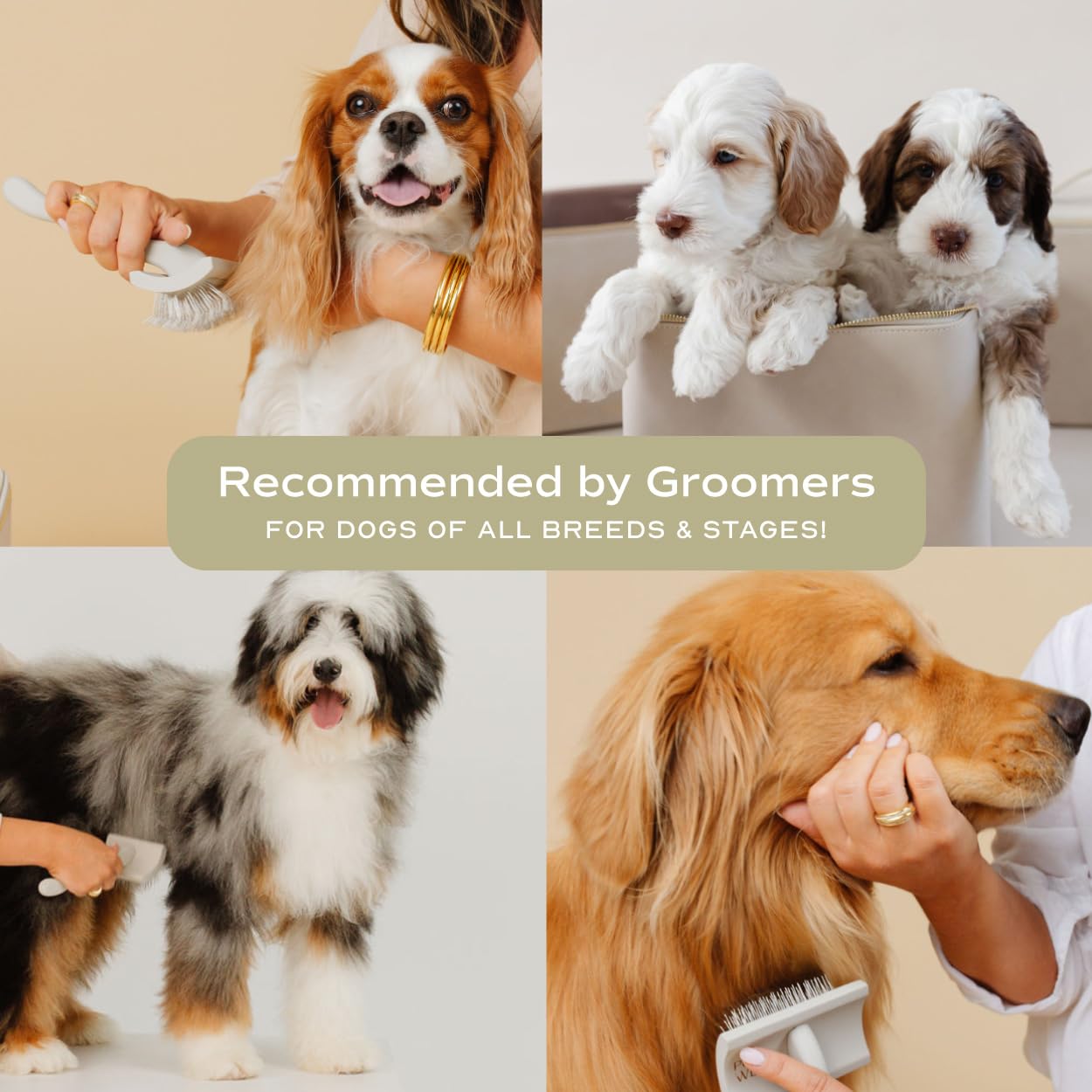 Pupwell Slicker Brush For Professional And Luxury Dog Grooming To Prevent Matting With Dense And Extra Long Stainless Steel Pins