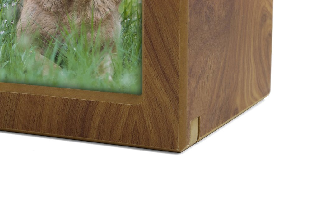 Near & Dear Pet Memorials Mdf Photo Urn, 85 Cubic Inch, Natural Finish
