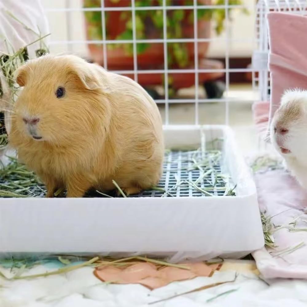 Podoo Rabbit Large Litter Box, Guinea Pig Training Pan Cage With Toilet Tray, Ideal For Rats, Ferret, Bunny Small And Medium Ani