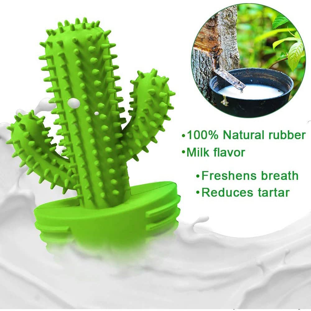 Pamlulu Dog Chew Toys, Toothbrush Stick Teeth Cleaning Brush Dental for Small Medium Large Dog, Rubber Squeaky Toys for Aggressi