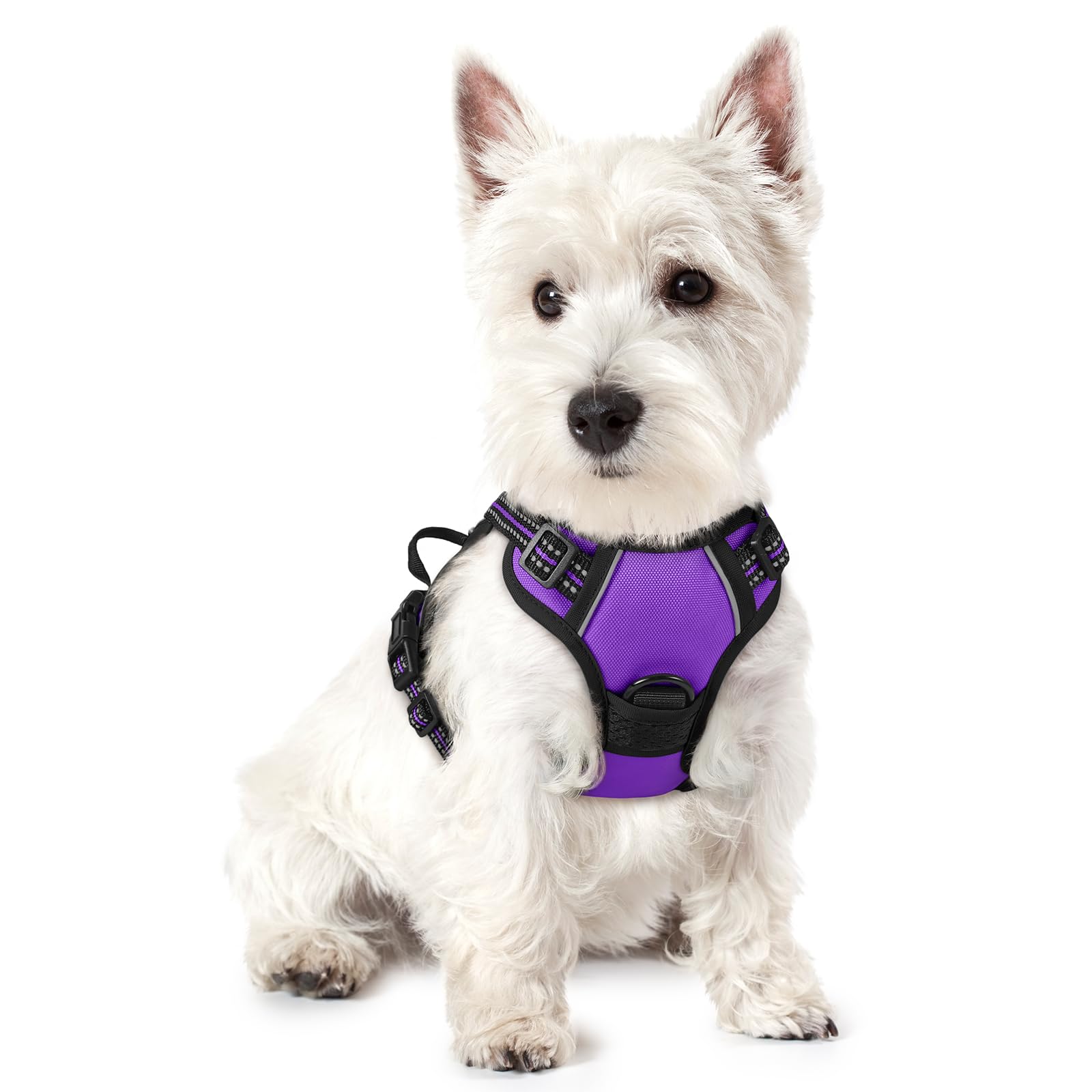 Rabbitgoo Dog Harness, No-Pull Pet Harness With 2 Leash Clips, Adjustable Soft Padded Dog Vest, Reflective No-Choke Pet Oxford Vest With Easy Control Handle For Small Dogs, Purple,Xs