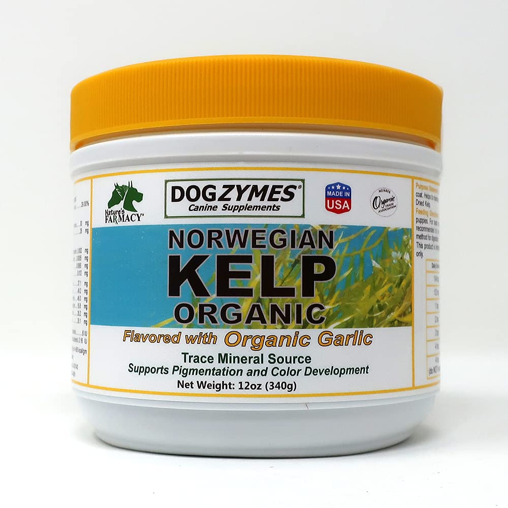 Dogzymes Organic Norwegian Kelp Enhanced with Garlic (12 Ounce)