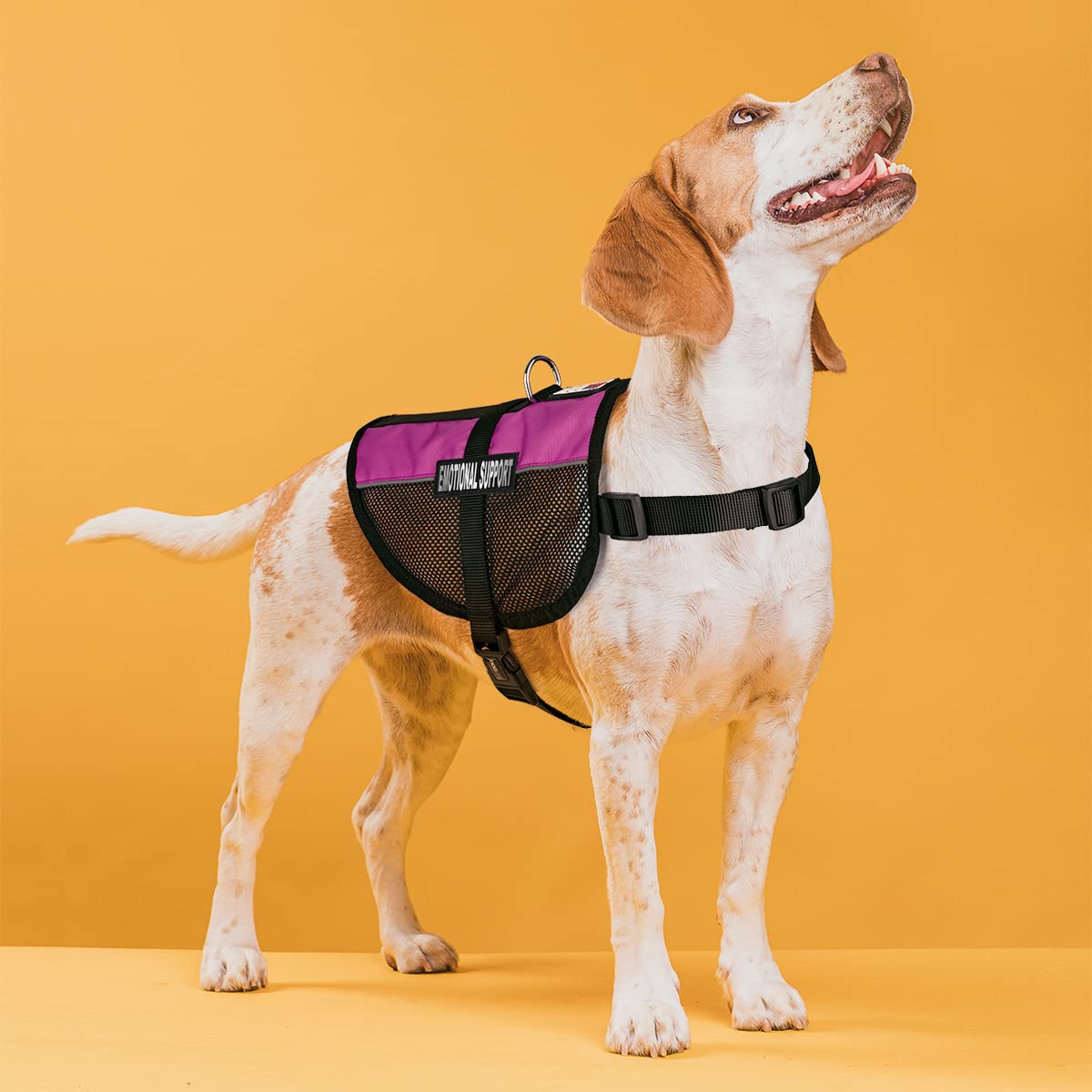 Dogline Maxaire Multi-Purpose Mesh Vest For Dogs And 2 Removable Emotional Support Patches, Small, Pink