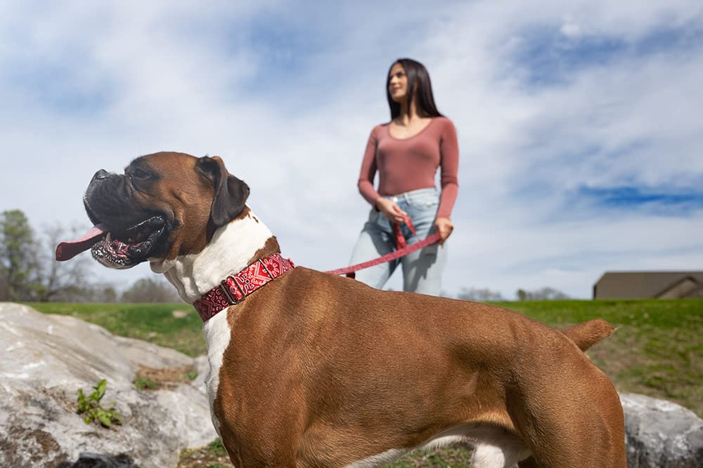Country Brook Petz - Red Bandana Martingale Dog Collar - Country And Western Collection Featuring Rustic Designs (1 Inch, Medium