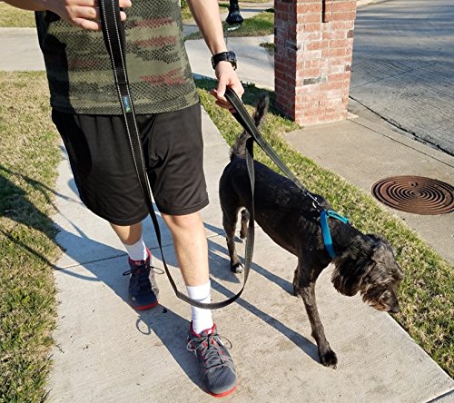 Wagtime Club Soft &Thick Dual Handle 6Ft Dog Leash, Premium Nylon Double Padded Handles For Medium, Large Or Xlarge Dog (Reflective Black)