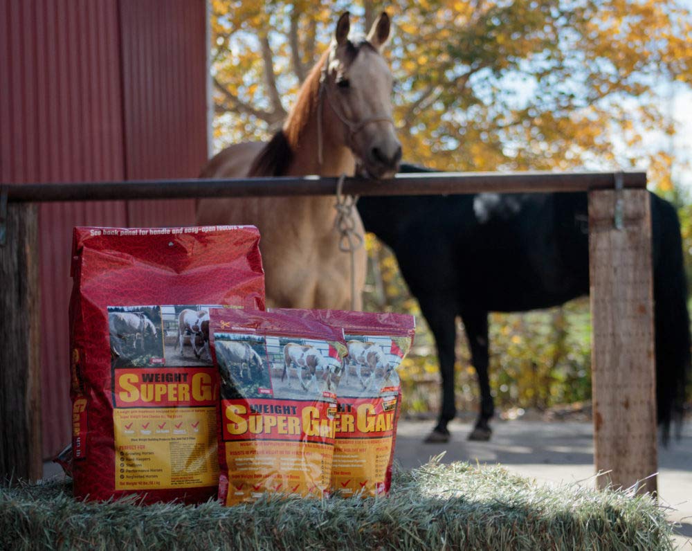 Horse Guard Super Weight Gain 40 lb, Equine Vitamin Mineral, Probiotic & Weight Gain Supplement