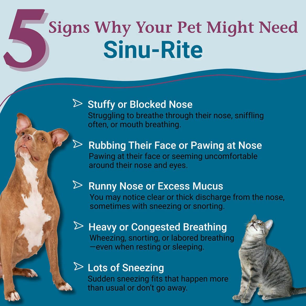PetAlive Sinu-Rite Cat and Dog Nasal Congestion Relief - Homeopathic Tablets - Supports Temporary Relief from Sinus Congestion,