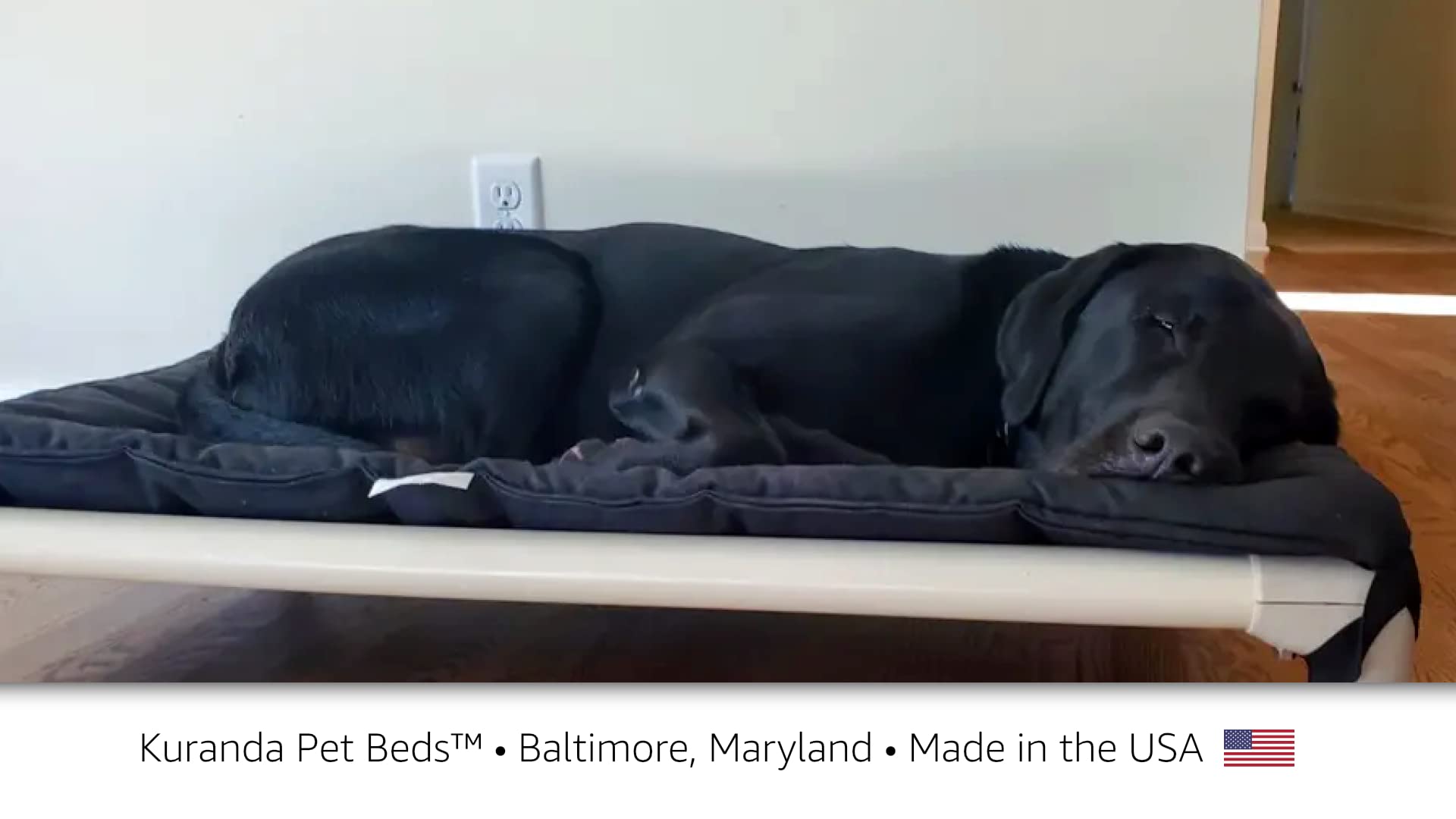 Kuranda Cordura Pad - Toy - 25'' x 18'' - Black