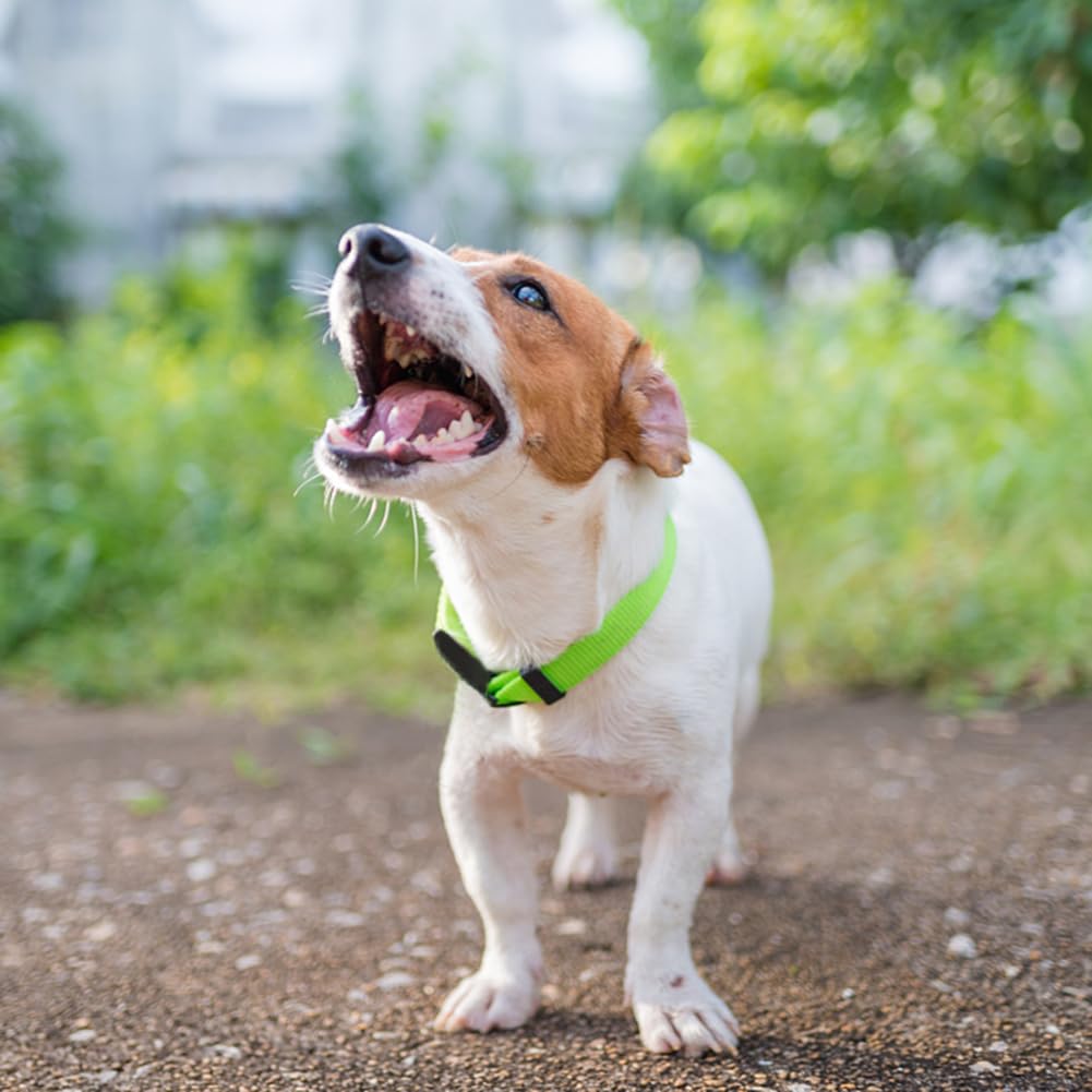 Penseepet Dog Collar Green Basic Dog Collars With Breathable Quick Release Nylon Pet Collar For Puppy Small Medium Large Dogs Bo
