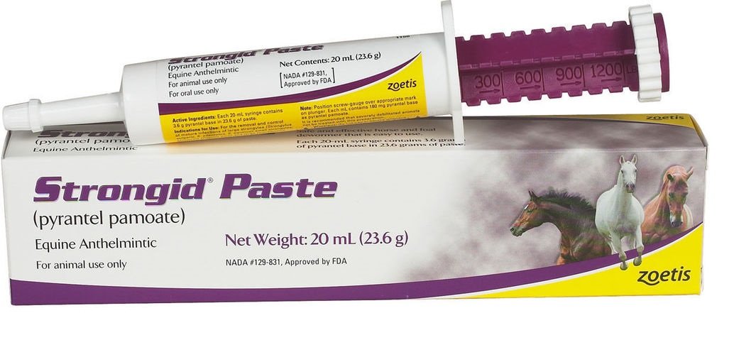 Strongid Paste Horse Dewormer, Safe for use in breeding, Pregnant and lactating mares, and Young Foals, 20-ml Syringe