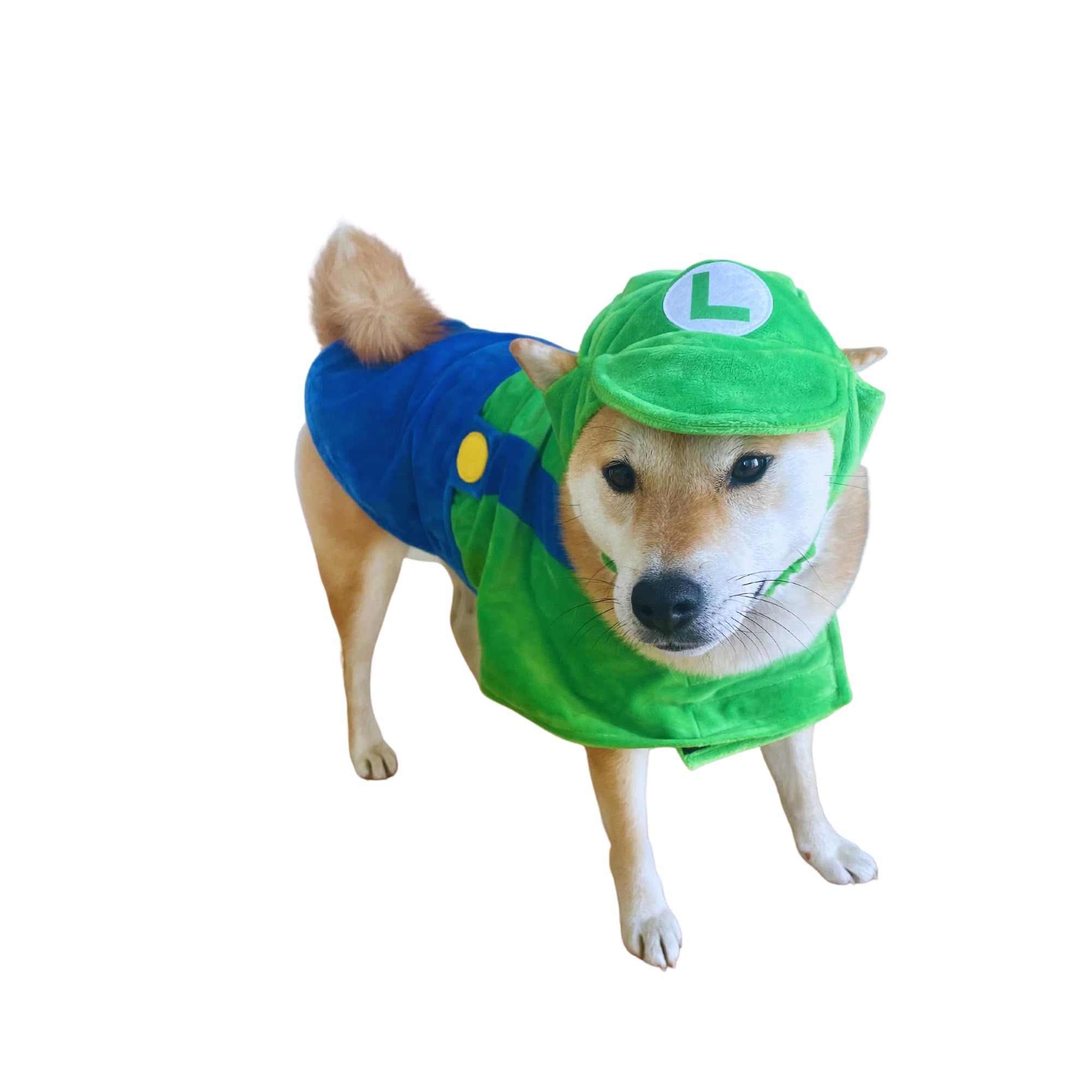 Comfycamper Hat And Suspenders Dog Costume - X Large Medium Small Lab Star Space Cosplay Halloween Costumes, Small, Green