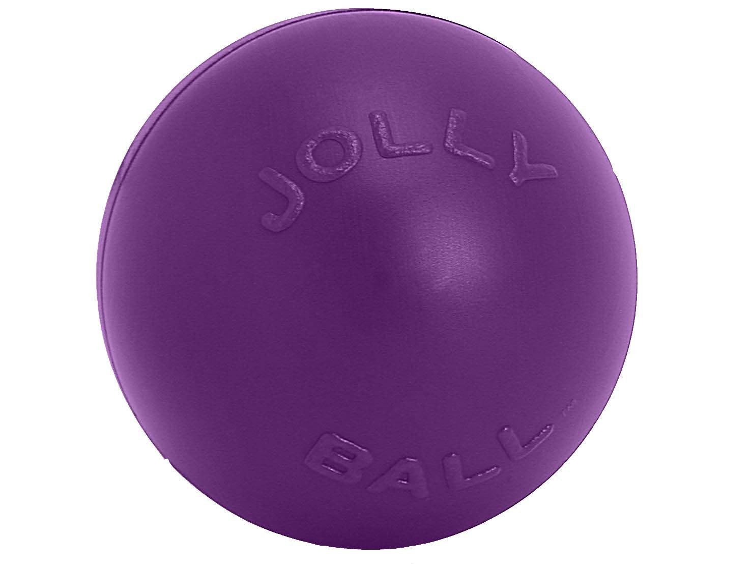 Jolly Pets Push-N-Play Ball Dog Toy, 10 Inches/Large, Purple
