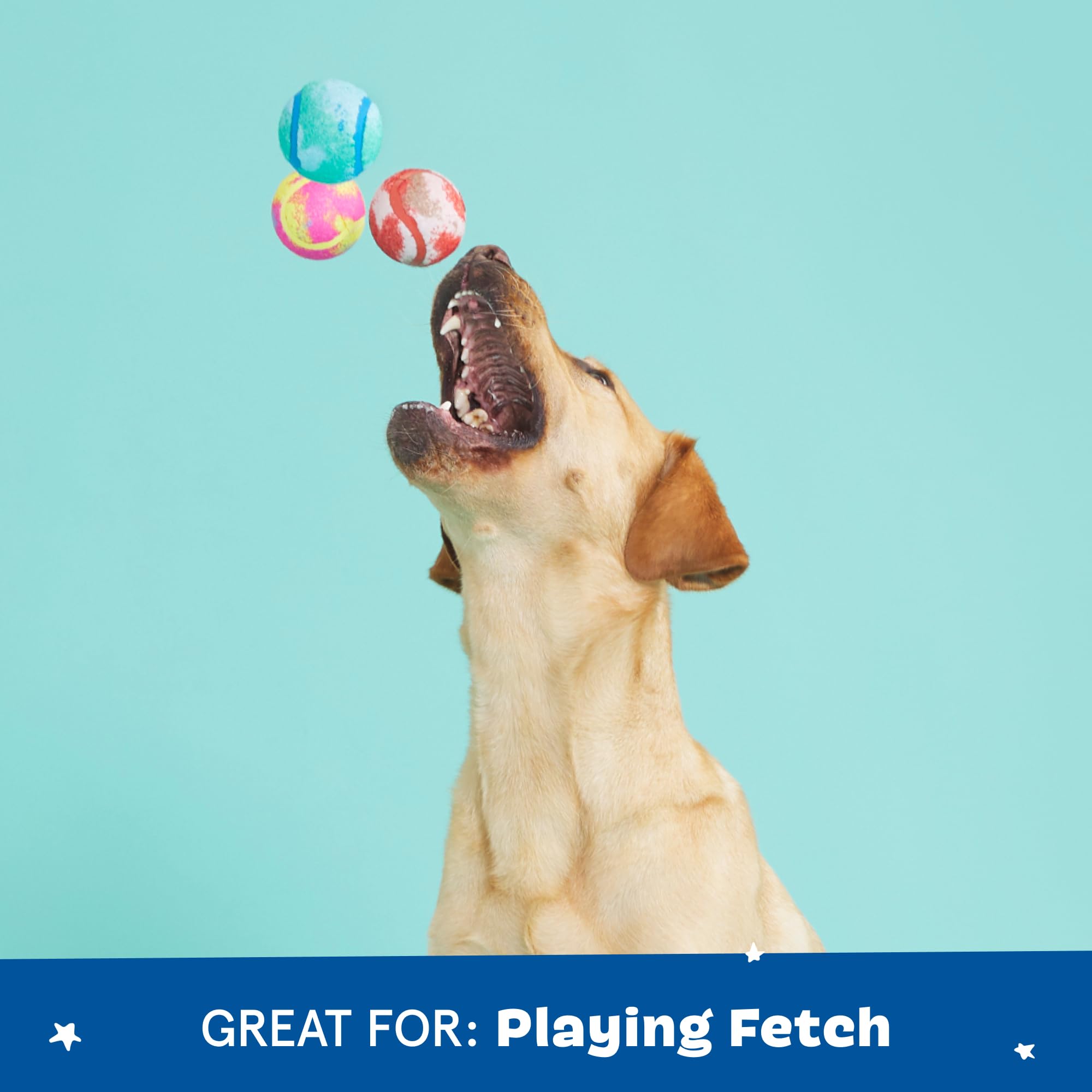 Barkbox Squeaker Ball Toys - Interactive Plush Tennis Balls for Fetch & Training - All Sizes - Perfect for Small, Medium & Large Dogs