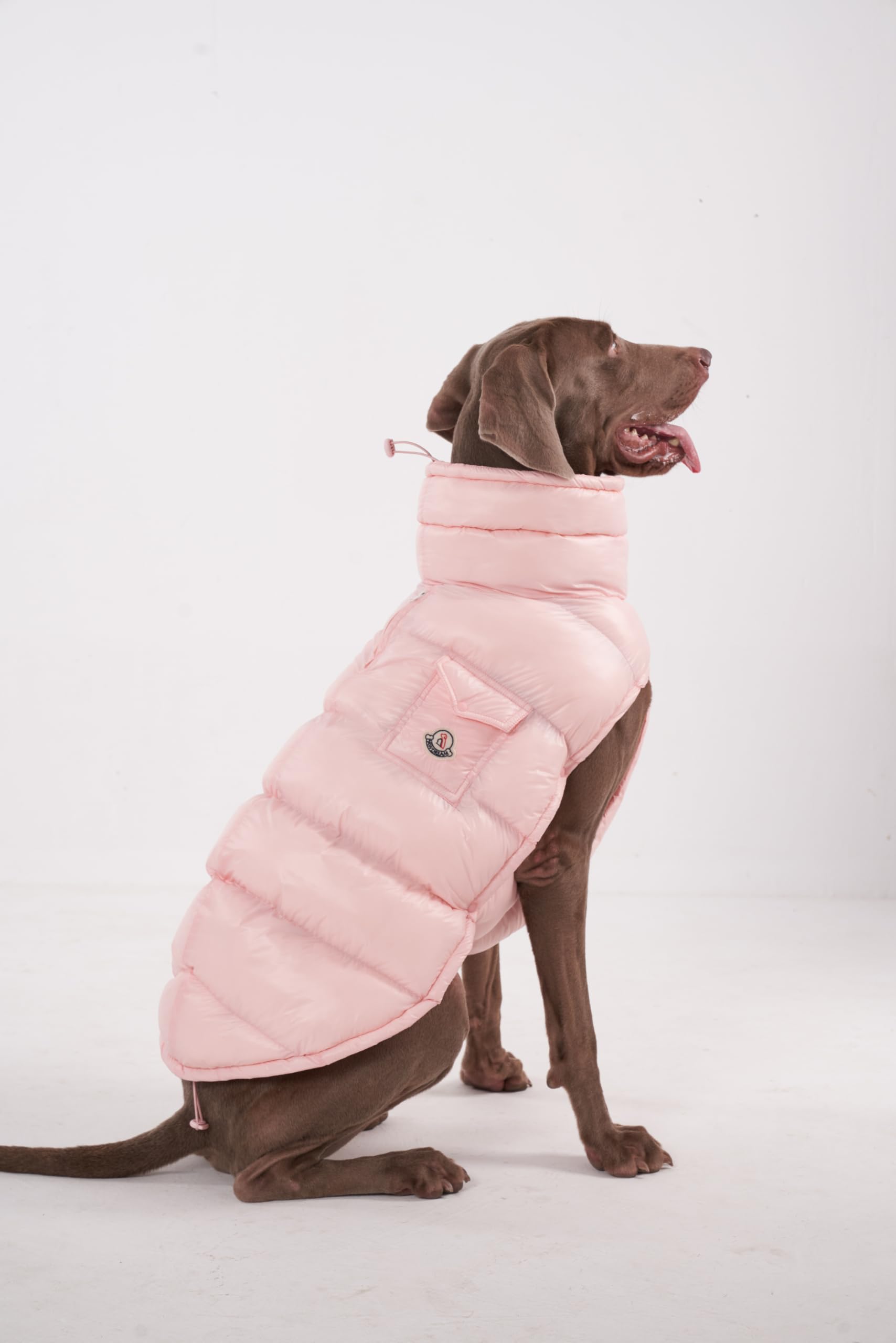 Chochocho Winter Jacket, Cold Weather Coats, Lightweight, Thermal Insulated, Water-Resistant, Adjustable Dogs Jackets With Leash