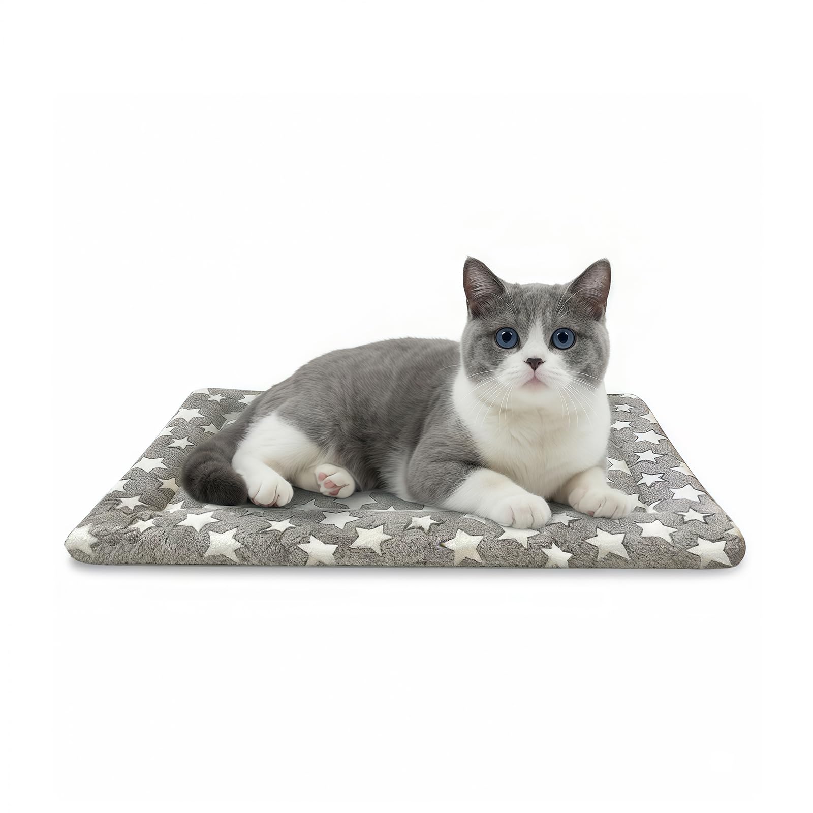 Dog Bed Mat, Dual-Sided Dog Crate Bed Mat - Ultra Soft & Machine Washable Kennel Pad for Cats and Extra Small Dogs, All-Season C