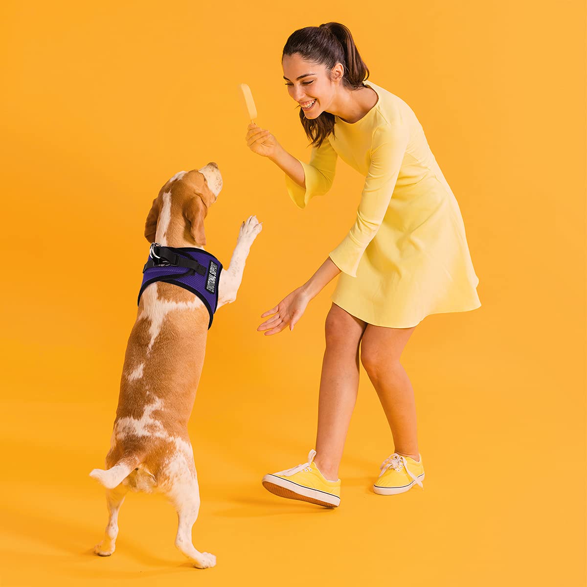 Dogline York Step In Mesh Dog Harness With Emotional Support Patches No Choke Pet Vest Soft Gentle Padded Chest Halter For Puppies Small Medium And Large Dogs 24-26 Inches Girth Purple