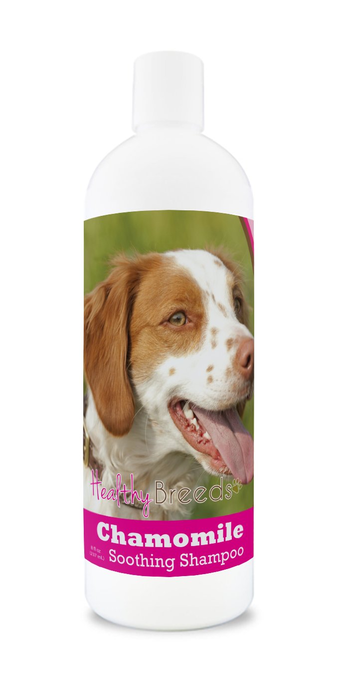 Healthy Breeds Brittany Chamomile Soothing Dog Shampoo 8 oz