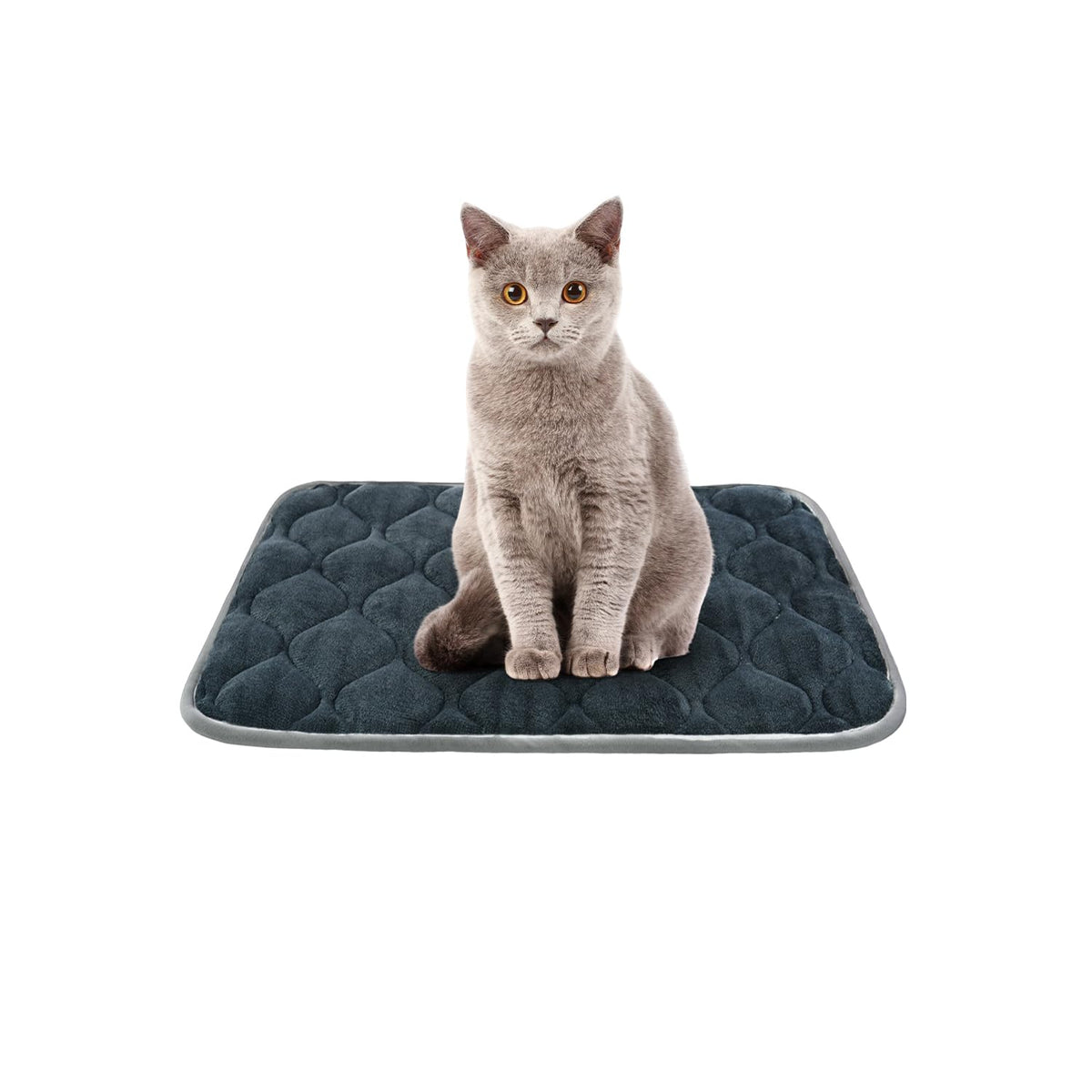 Furrybaby Dog Bed Mat Crate Mat With Anti-Slip Bottom Machine Washable Pet Mattress For Dog Sleeping (Xs 22X13'', Grey Mat)