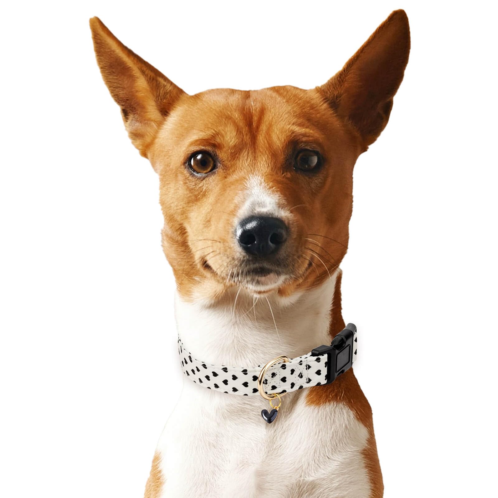 Gelwoo Cotton Dog Collar,Soft and Cute Puppy Collars with Hearts Patterned Design for Girl Female Boy Dogs,Adjustable Buckle Pet