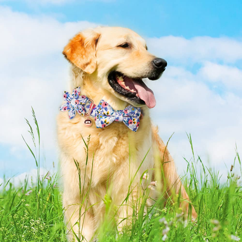 Ainiv Dog Collar And Leash Sets, Flower Girl Floral Pattern Engraved Pet Collars With Adjustable Strong Gold Buckle Collars With