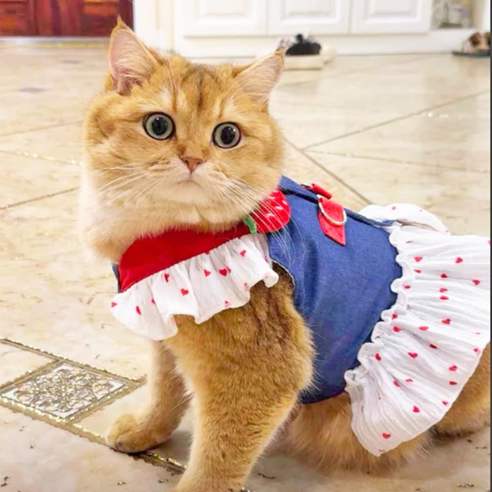 Aniac Denim Dog Dress Harness With Leash Set Cute Small Dogs Clothes Girl Heart Patterns Puppy Dresses Breathable Mesh Cat Harne