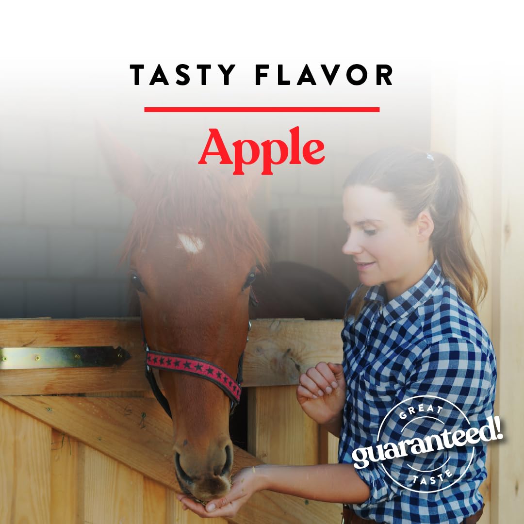 Manna Pro Bite-Size Nuggets for Horses - Pocket Sized Training Horse Treats - Apple Flavored Treats - Packs with Vitamins & Mine