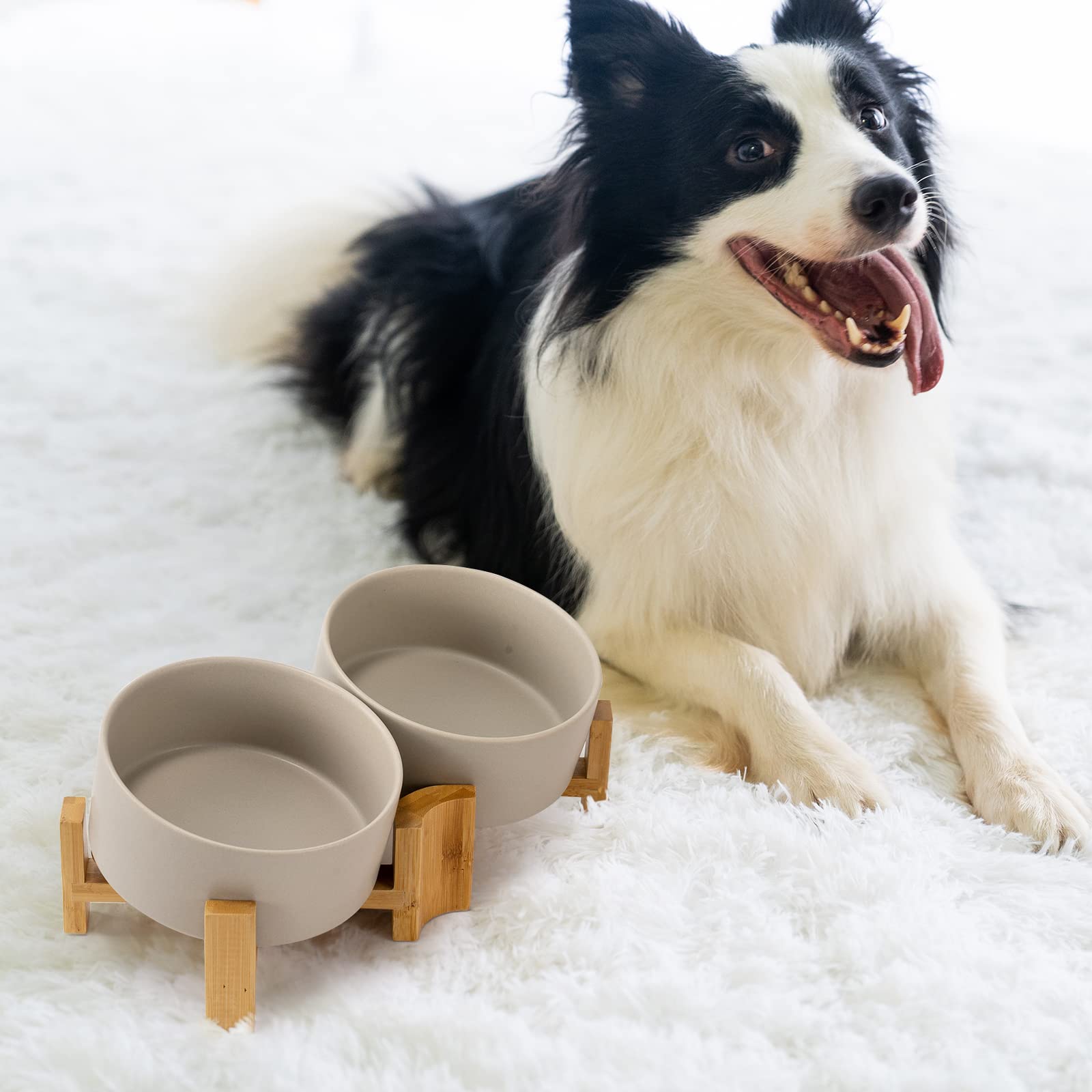 SPUNKYJUNKY 15 Slanted Ceramic Dog and Cat Bowl with Wooden Stand, Tilted Bulldog Food and Water Bowl No Slip Non-Spill for Cats