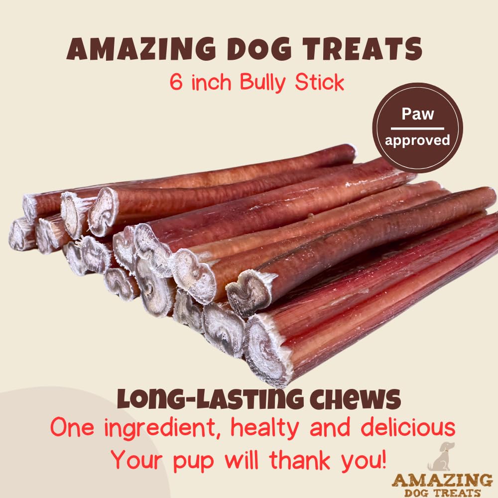 Amazing Dog Treats - 6 Inch Medium Size Bully Sticks (10 Count) - Bulk Bully Sticks for Dogs - No Hide Bully Stick Dog Bones
