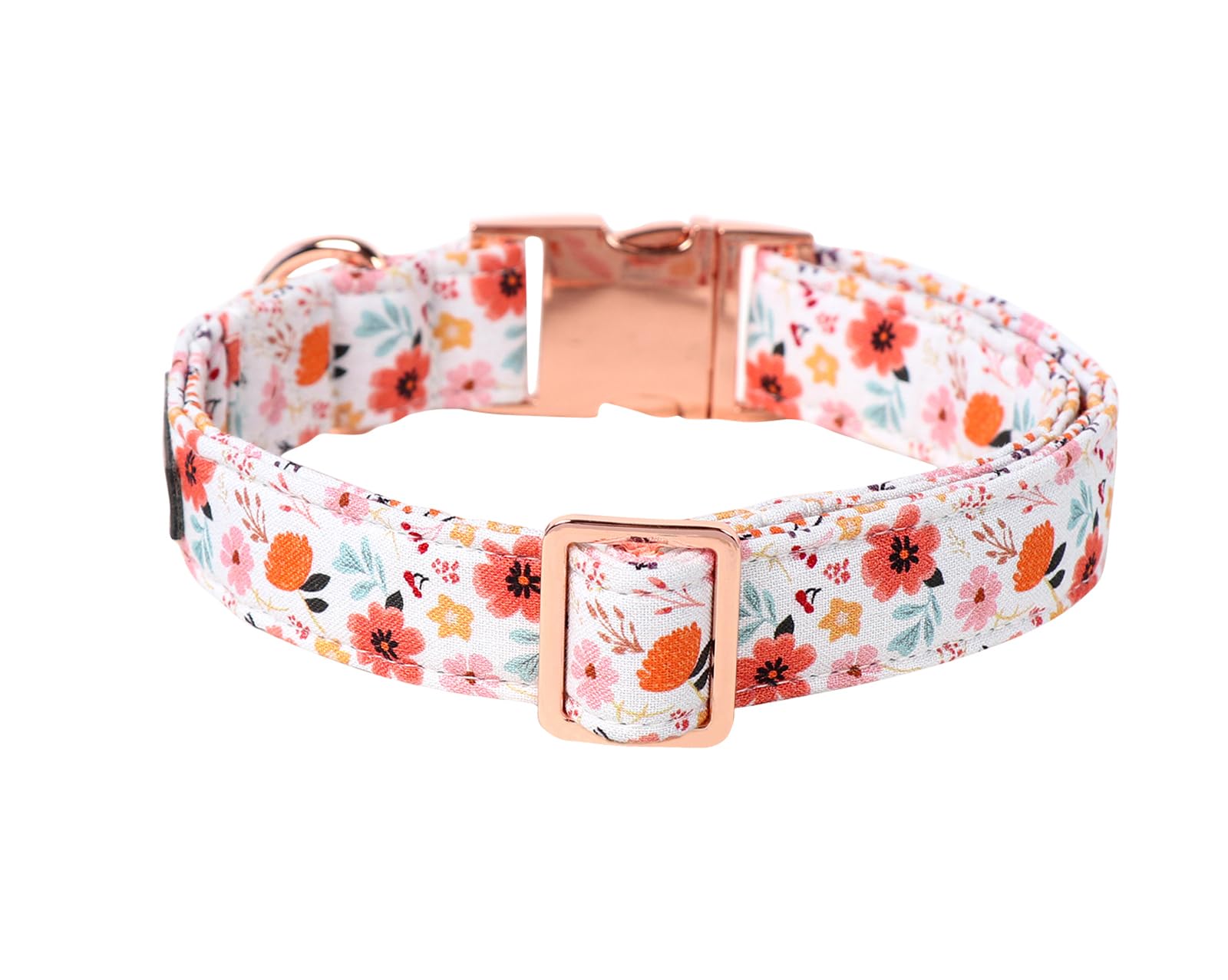 Lionet Paws Dog Collar, Adjustable Cute Collar With Metal Buckle For Male Female Puppies,Summer Flower, Xs, Neck 8-12 Inches