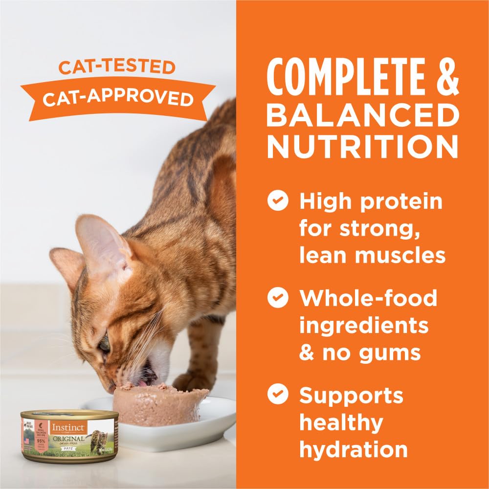 Instinct Original Grain Free Real Salmon Recipe Natural Wet Canned Cat Food by Natures Variety, 5.5 oz. Cans (Case of 12)