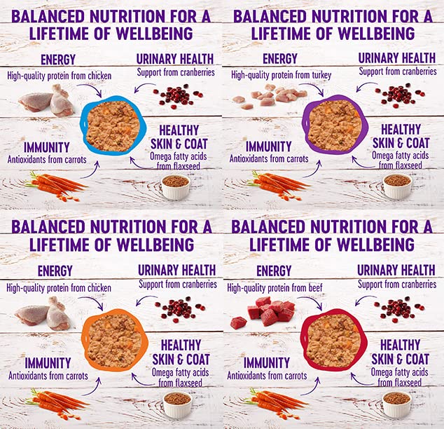 Wellness Natural Premium Canned Cat Wet Food Pate - 12 Pack Cans Variety Bundle Pack 4 Flavor - (Chicken,Beef, Salmon & Turkey)