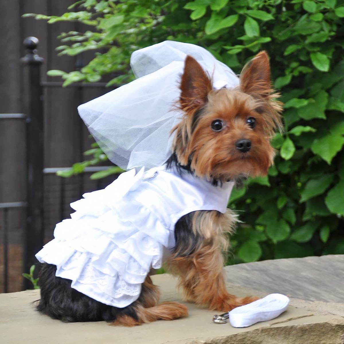 Dog Wedding Harness Dress Set By Doggie Design