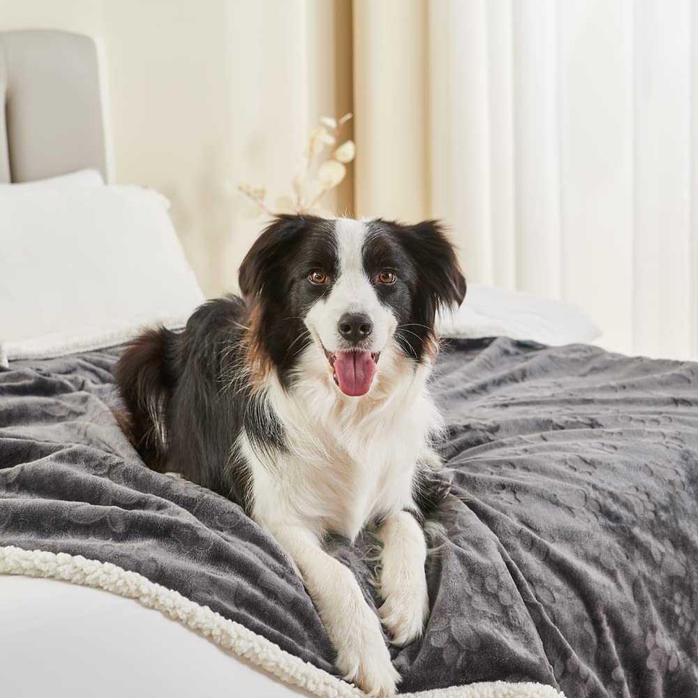Qeils Dog Blankets For Large Dogs - Waterproof Cat Blanket Washable - Sherpa Fleece Puppy Blanket, Soft Plush Reversible Throw Protector For Bed Couch Car Sofa, 60'X80', Dark Grey