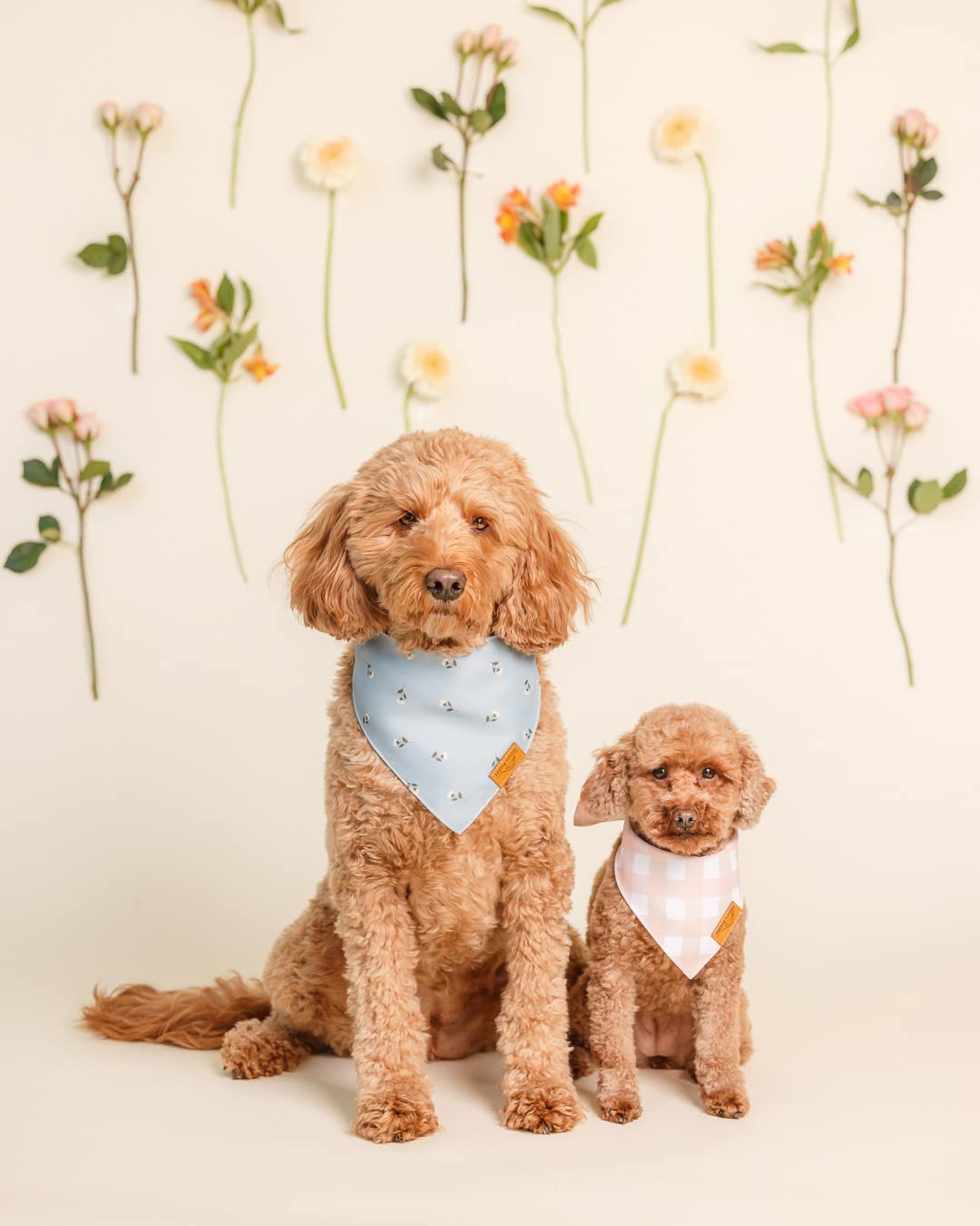 Remy+Roo Large Spring Dog Bandanas - 4 Pack Emily Set | Premium Durable Adjustable Polyester Fabric Dog Scarfs | Patented Shape