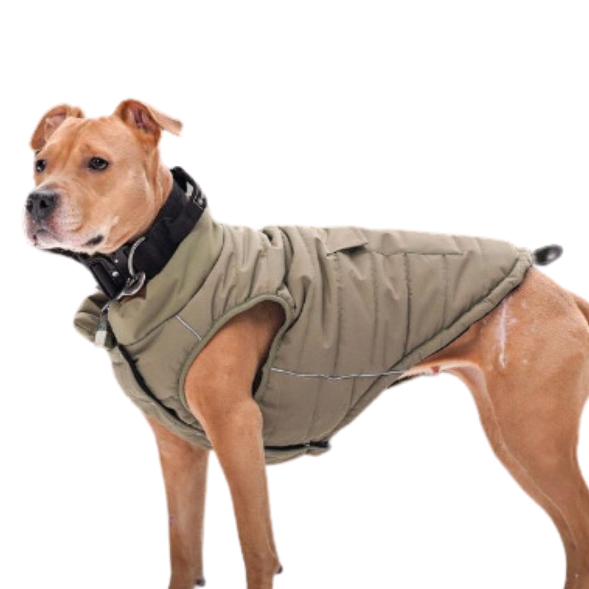 Spark Paws Dog Winter Jacket, Water-Resistant Coat, Warm Reflective Windproof Fleece-Interior, For Medium And Large Dogs - Olive