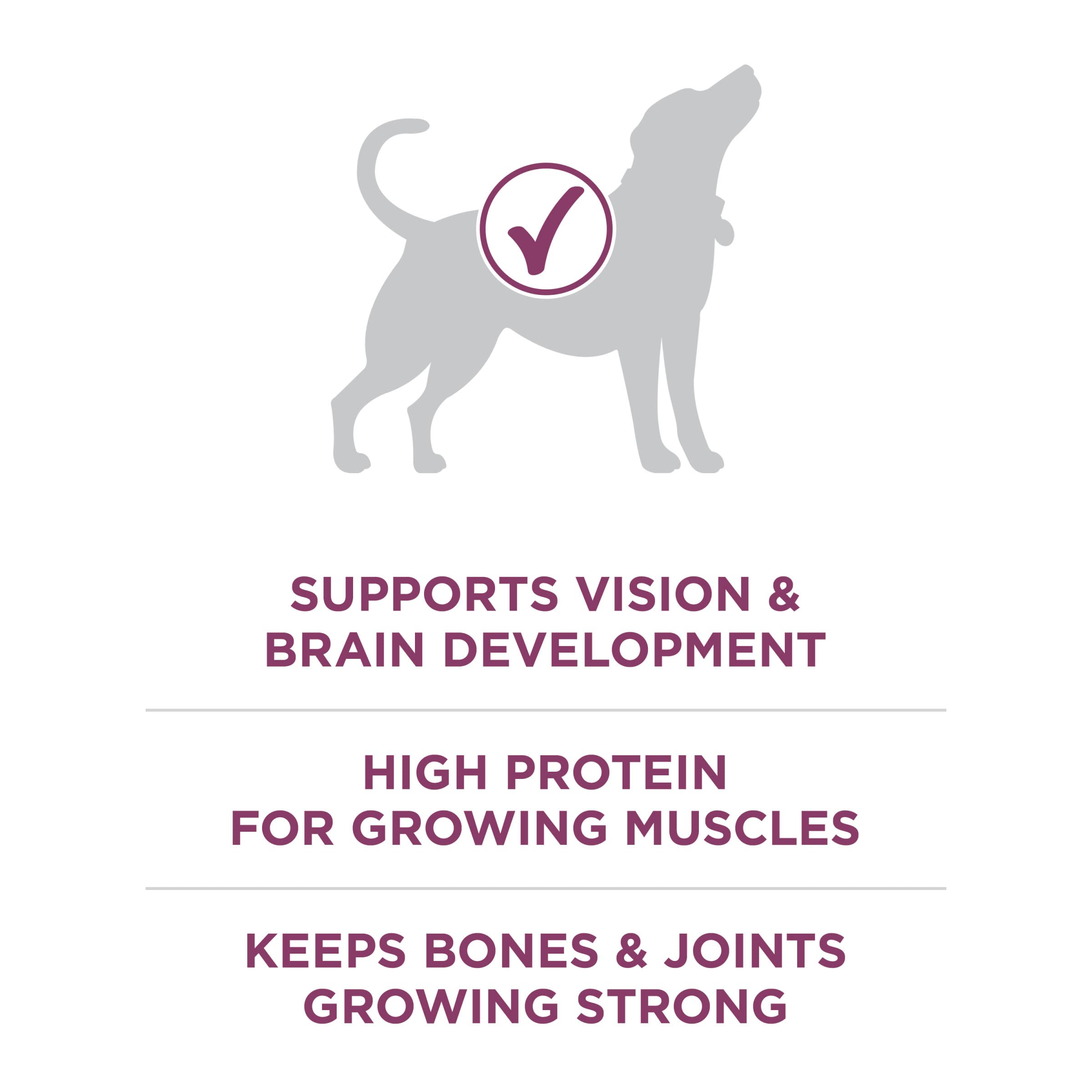 Purina ONE Plus Healthy Puppy Formula High Protein Natural Dry Puppy Food with added vitamins, minerals and nutrients - 8 lb. Ba