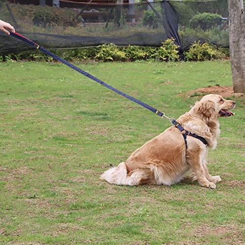 Hypeety Dog Denim Leash Harness Adjustable Heavy Duty Durable Dog Collar No-Pull For Training Walking Running, Good For Large Medium Small Dog (L (11.81'-17.77' Chest Girth))