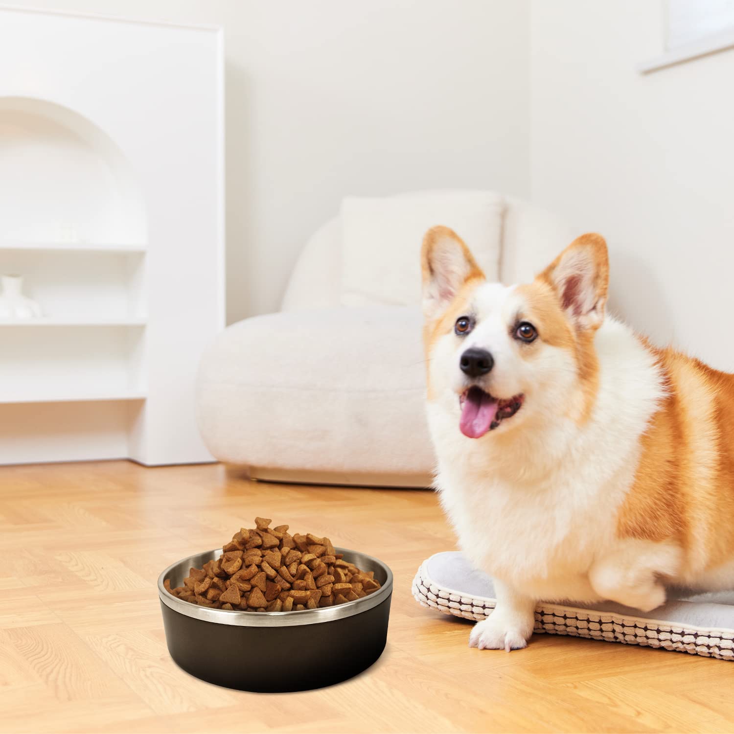 IKITCHEN Dog Bowl for Food and Water, 40 Oz Stainless Steel Pet Feeding Bowl, Durable Non-Skid Double Wall Insulated Heavy Duty