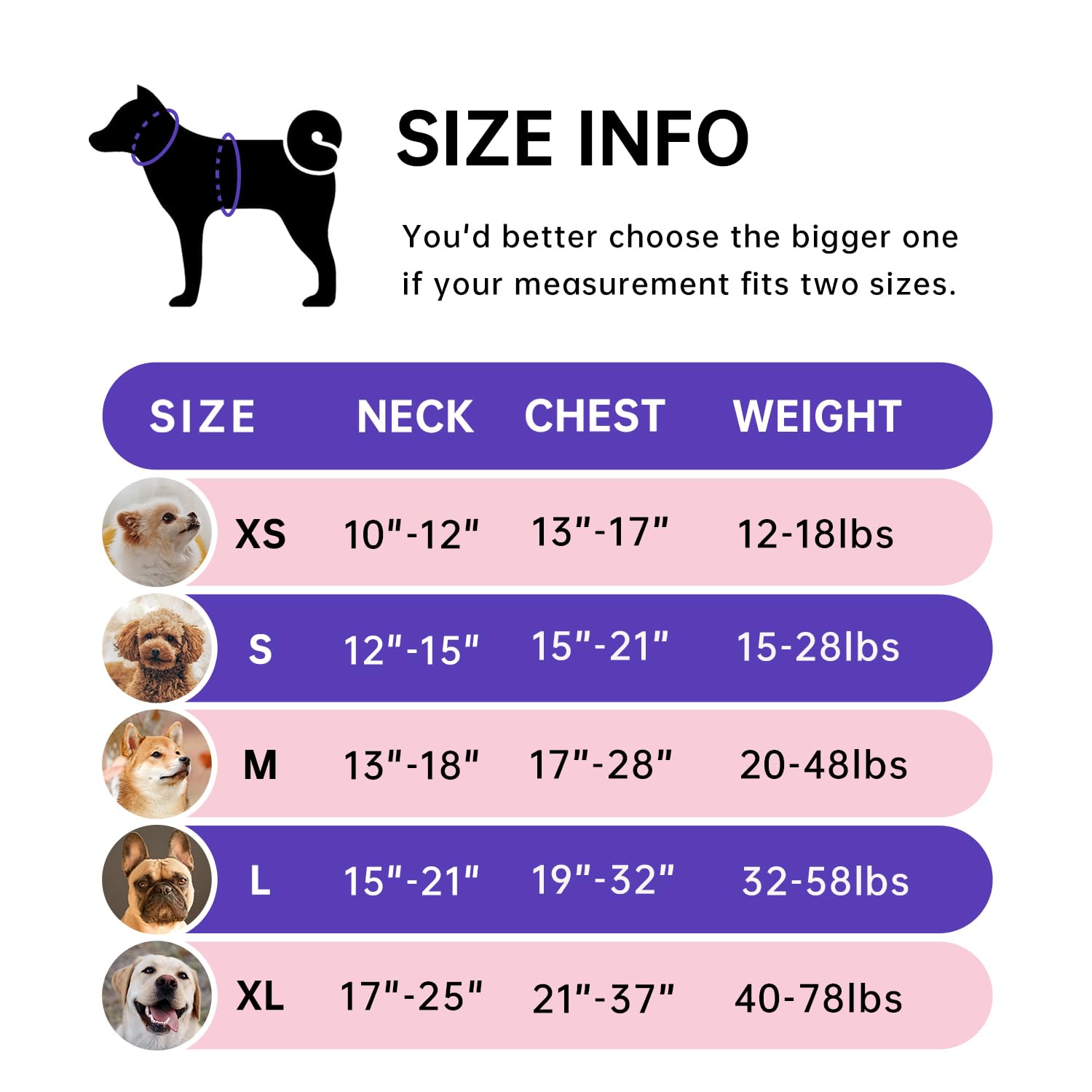 Ivy&Lane No Pull Dog Harness For Large Dogs, Reflective Dog Vest Harness With Leash, Safety Belt And Storage Strap, Fully Adjust