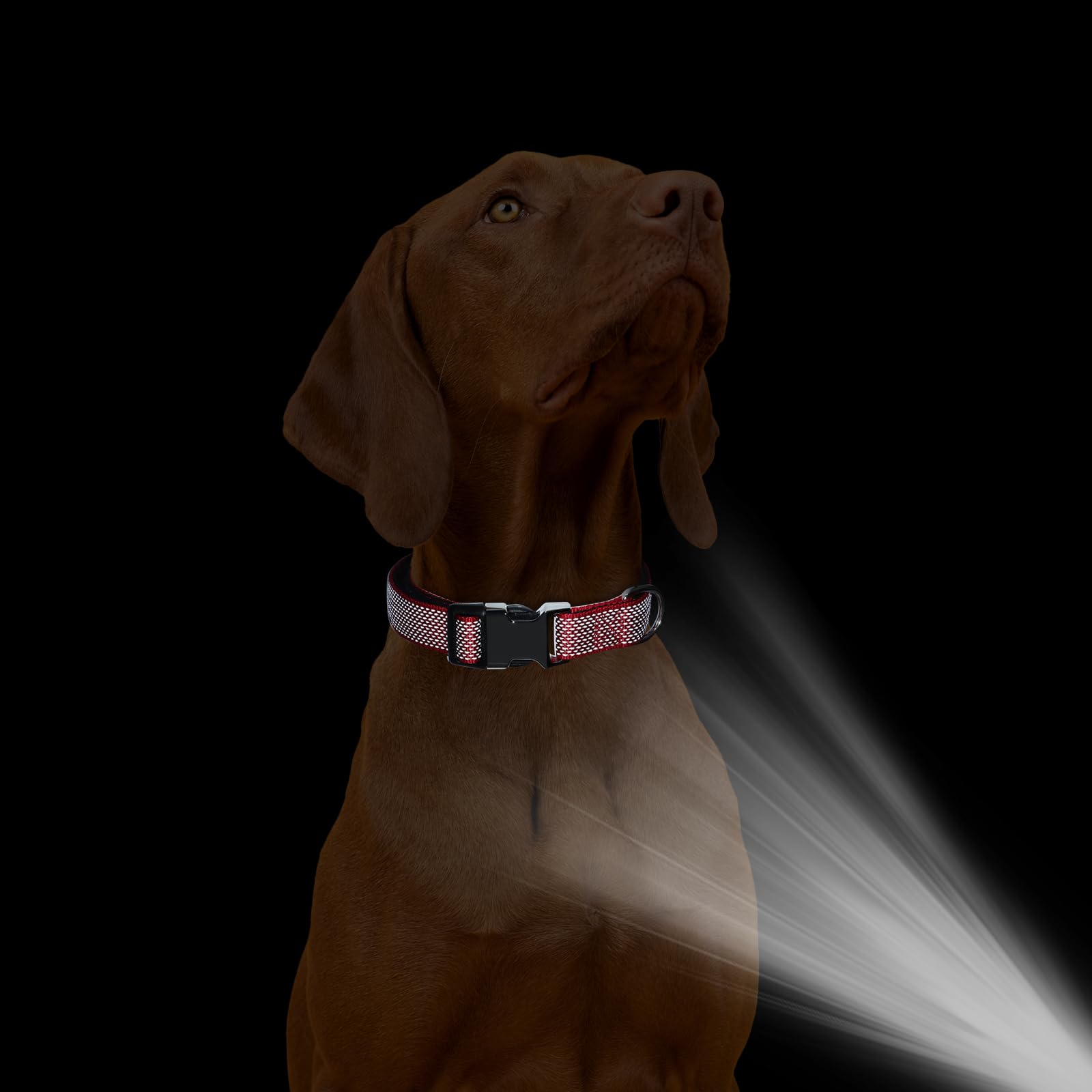 Personalized Dog Collar,Engraved Reflective Dog Collar, Custom Dog Collar, Pet Collar, Quick Release Buckle, Gift'S For Pets (Or