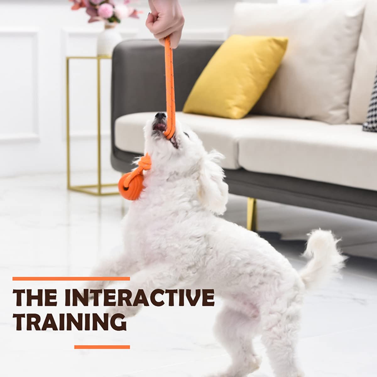 Vitalili Dog Training Ball on A Rope Rubber Dog Rope Toys Ball with Handle for Tug of War K9 Training Rewards for Belgian Malino
