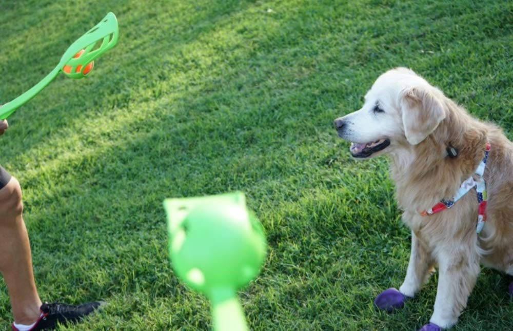 Chuckit! Sport LX Ball Launcher System 2 Player Pack, Medium, Assorted (Orange, Blue, Green)