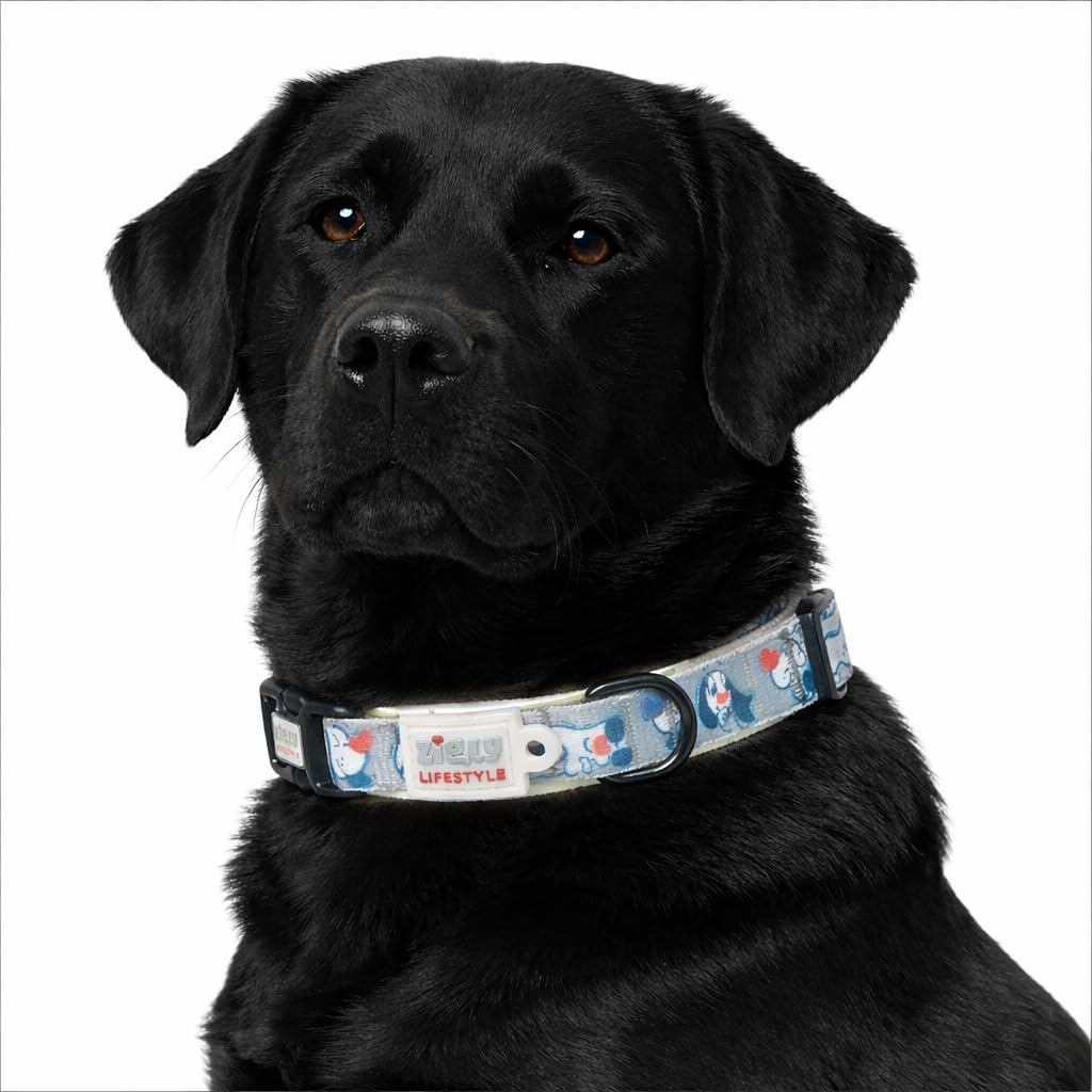 Zigly Doodle Nylon Dog Collar For Small Dogs | Adjustable Durable Everyday Walking Collar | Soft & Comfortable Pet Collar For Da