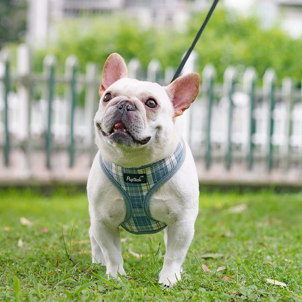 Pupteck Soft Mesh Dog Harness And Leash Set Pet Puppy Cat Comfort Padded Vest No Pull Harnesses, Sky Blue, Xs