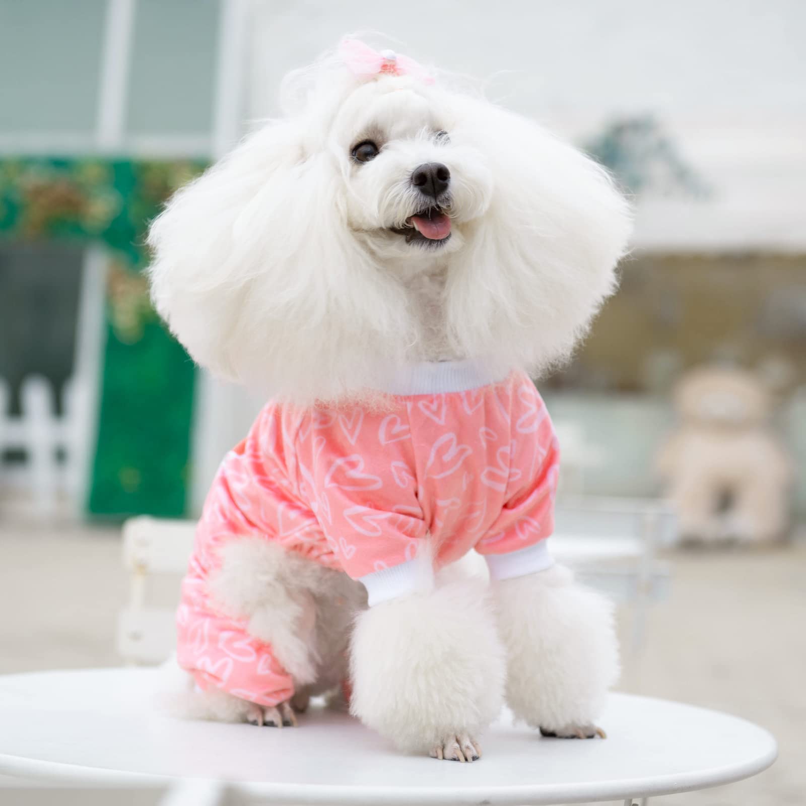 Cutebone Dog Valentines Pajamas Puppy Onesies Small Dogs Soft Pjs Coat Cat Apparel Comfy Pet Clothes Outfit Doggie Bodysuit P273